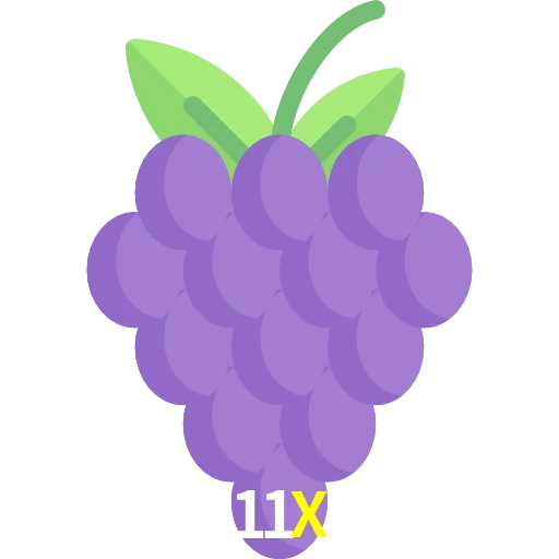 11X